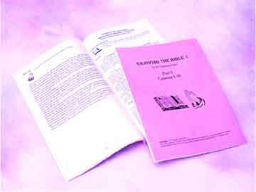 Enjoying the Bible